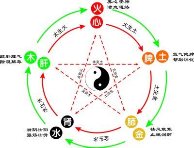 李的五行|李字的五行属性